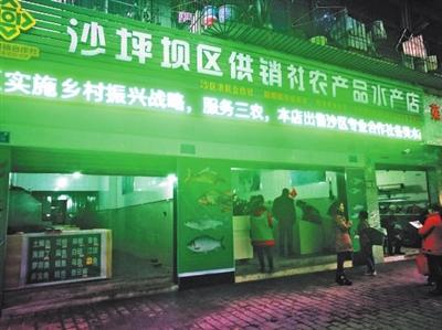 打通農產品流通最后一公里——沙區供銷社農產品水產、花卉店正式開業